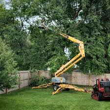 Lawn Maintenance Plans in Lannon, WI